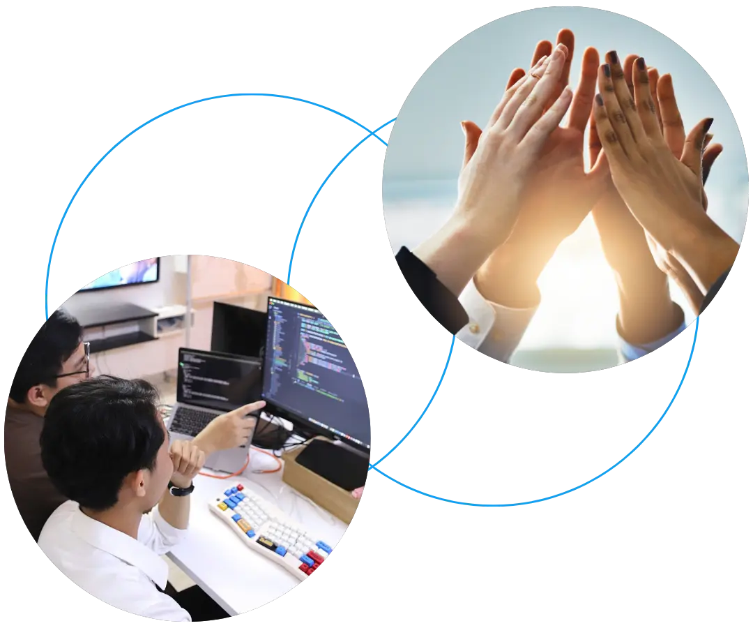 what-you-looking-for